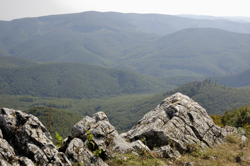 Vysoká Małe Karpaty Wikipedia Wolna Encyklopedia