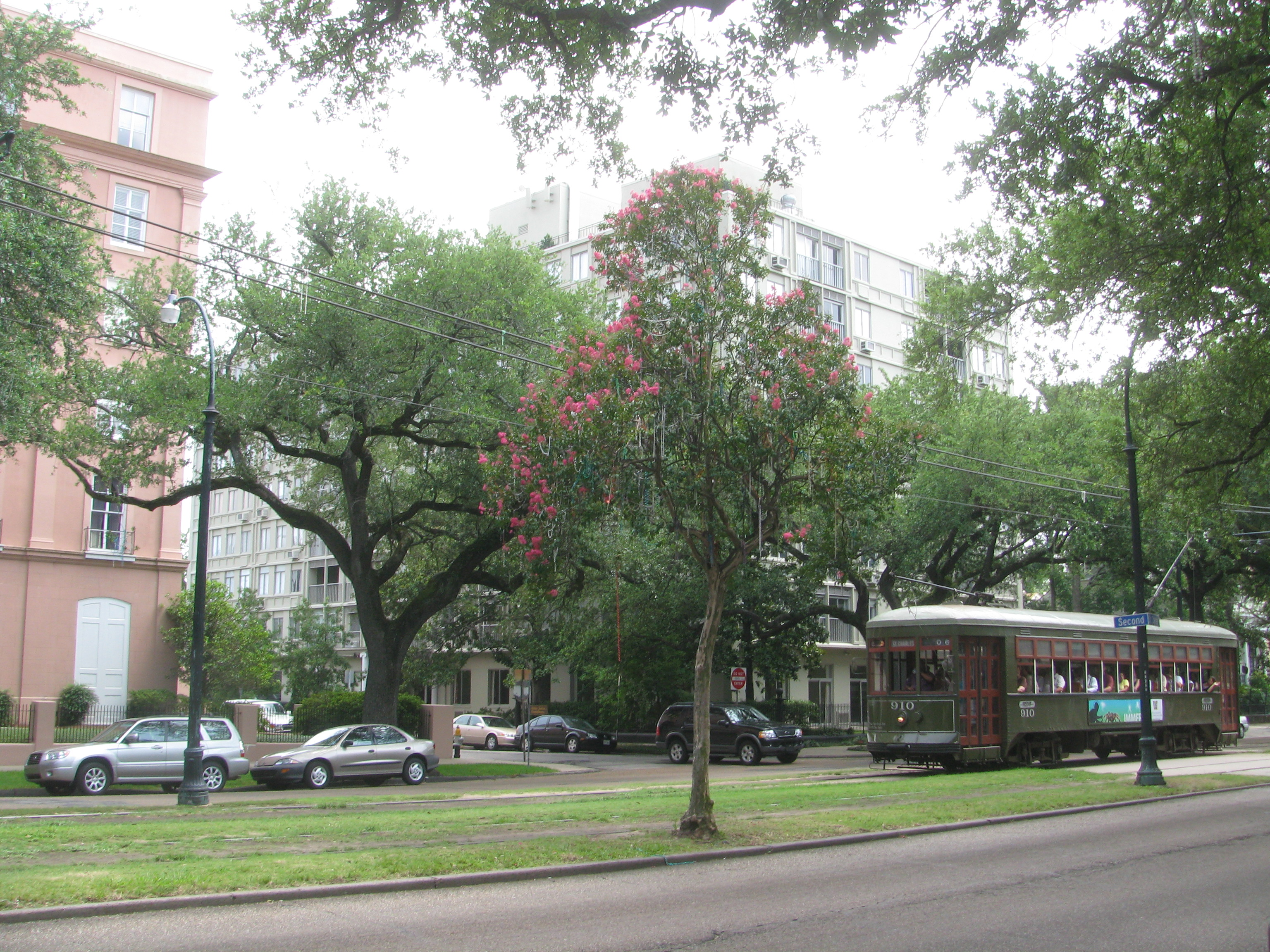 File:20080622 St. Charles St. Trolley behind tree with Mardi Gras beads.JPG  - Wikipedia