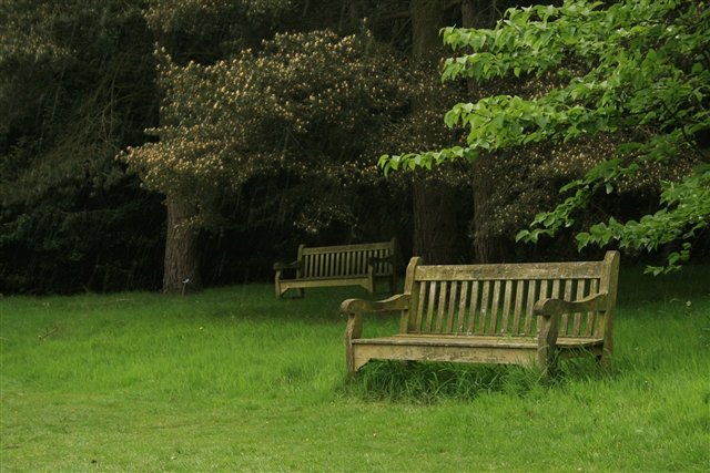 File:Benches, RHS Harlow Carr - geograph.org.uk - 441903.jpg