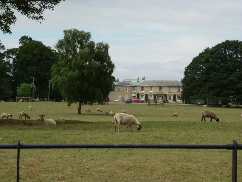 Benningholme