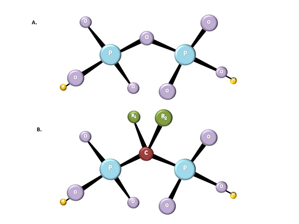 bisphosphonates structure