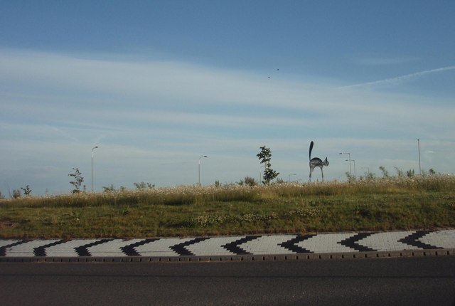 File:Black Cat Roundabout - geograph.org.uk - 1355737.jpg