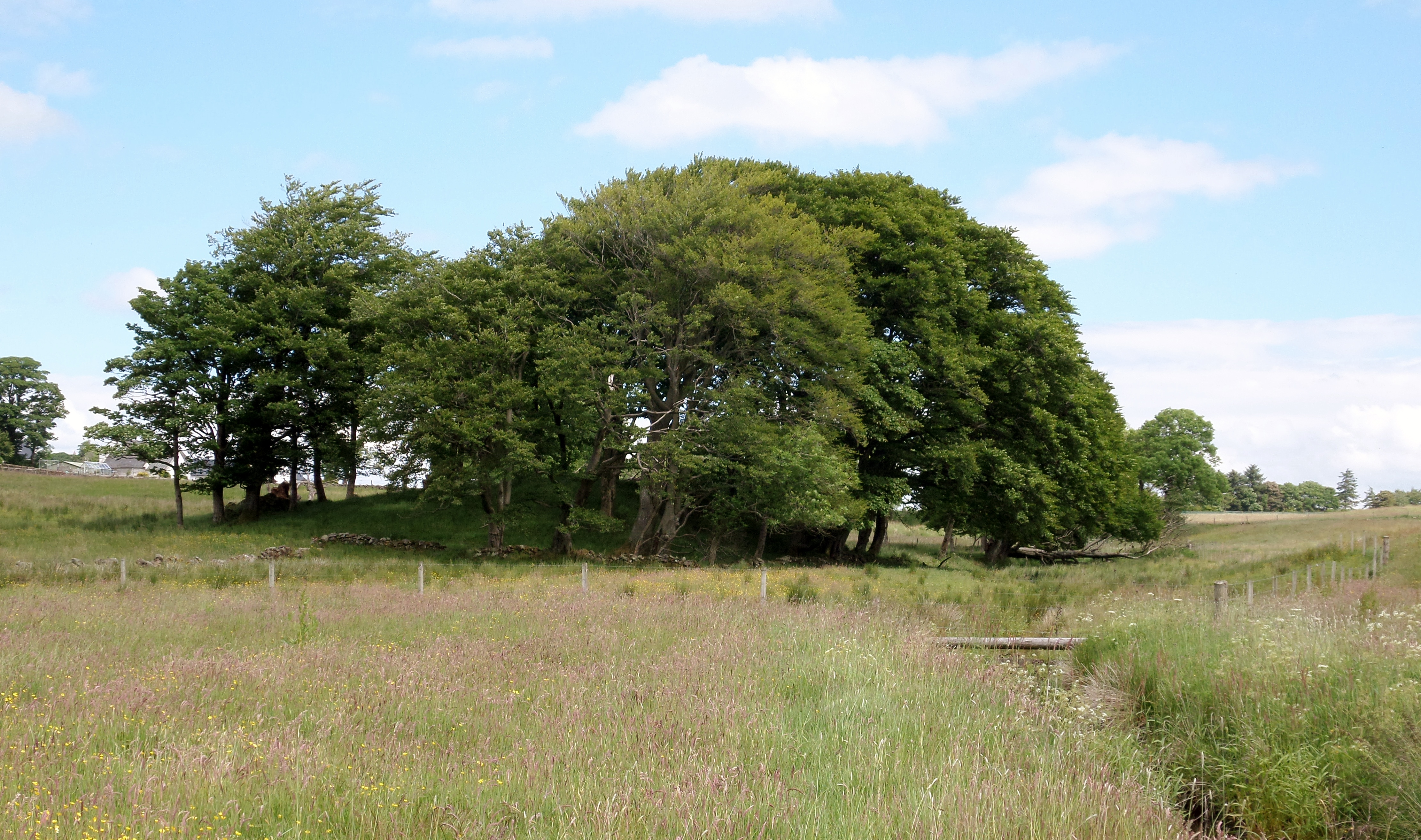 Lands of Blacklaw