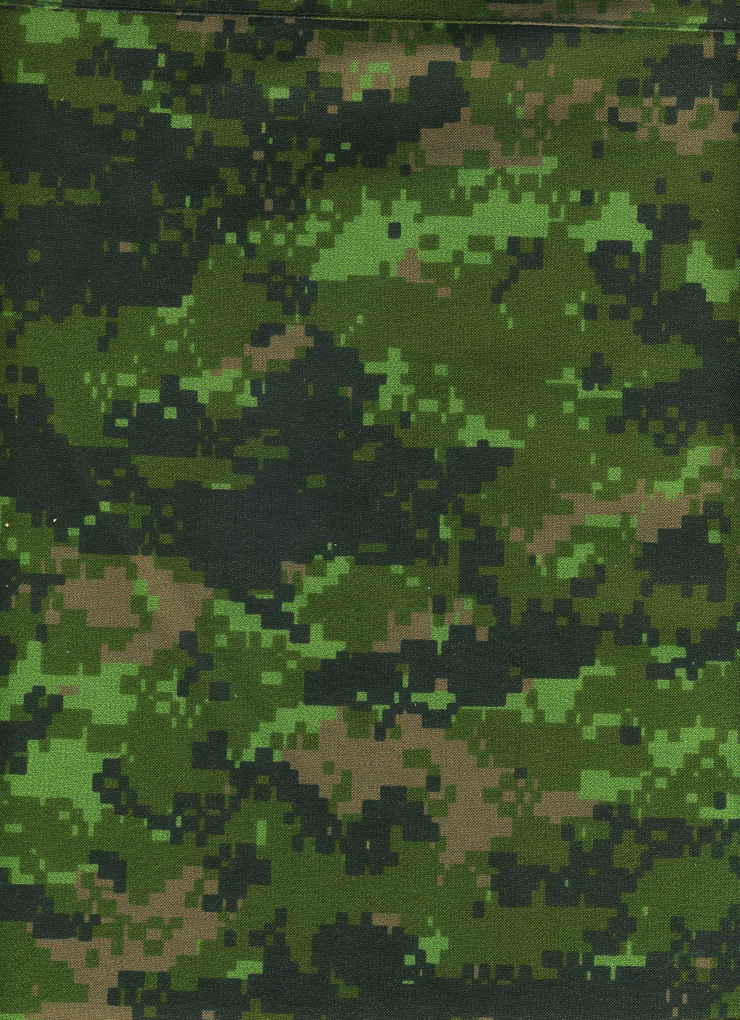 Multi-scale camouflage - Wikipedia