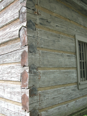 Details of cabin corner joint with squared off logs