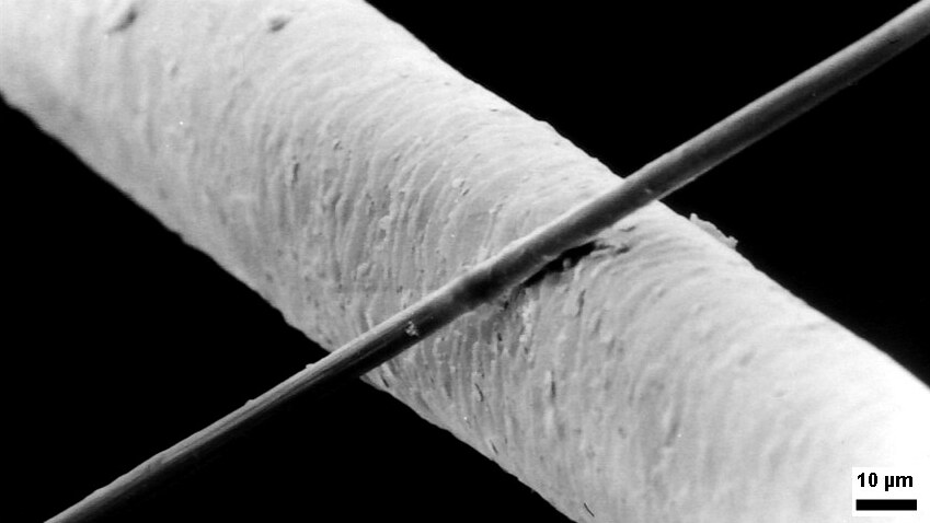image of micron vs human hair thickness