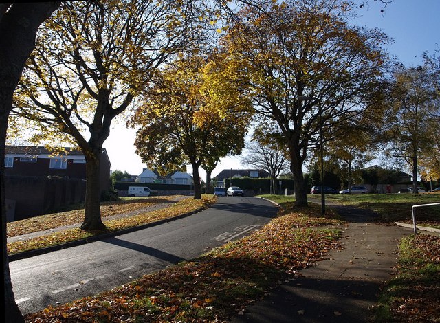 File:Crosspark Avenue, Shiphay - geograph.org.uk - 604606.jpg