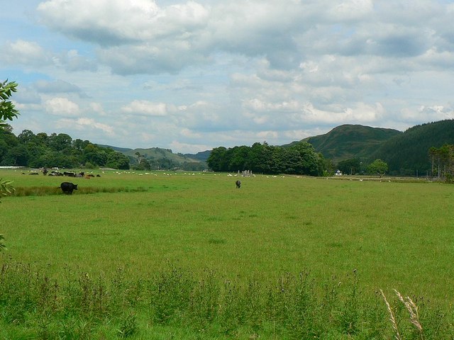 Field in Kilmartin Glen - geograph.org.uk - 995078