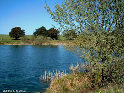 Haleshall Pool - panoramio