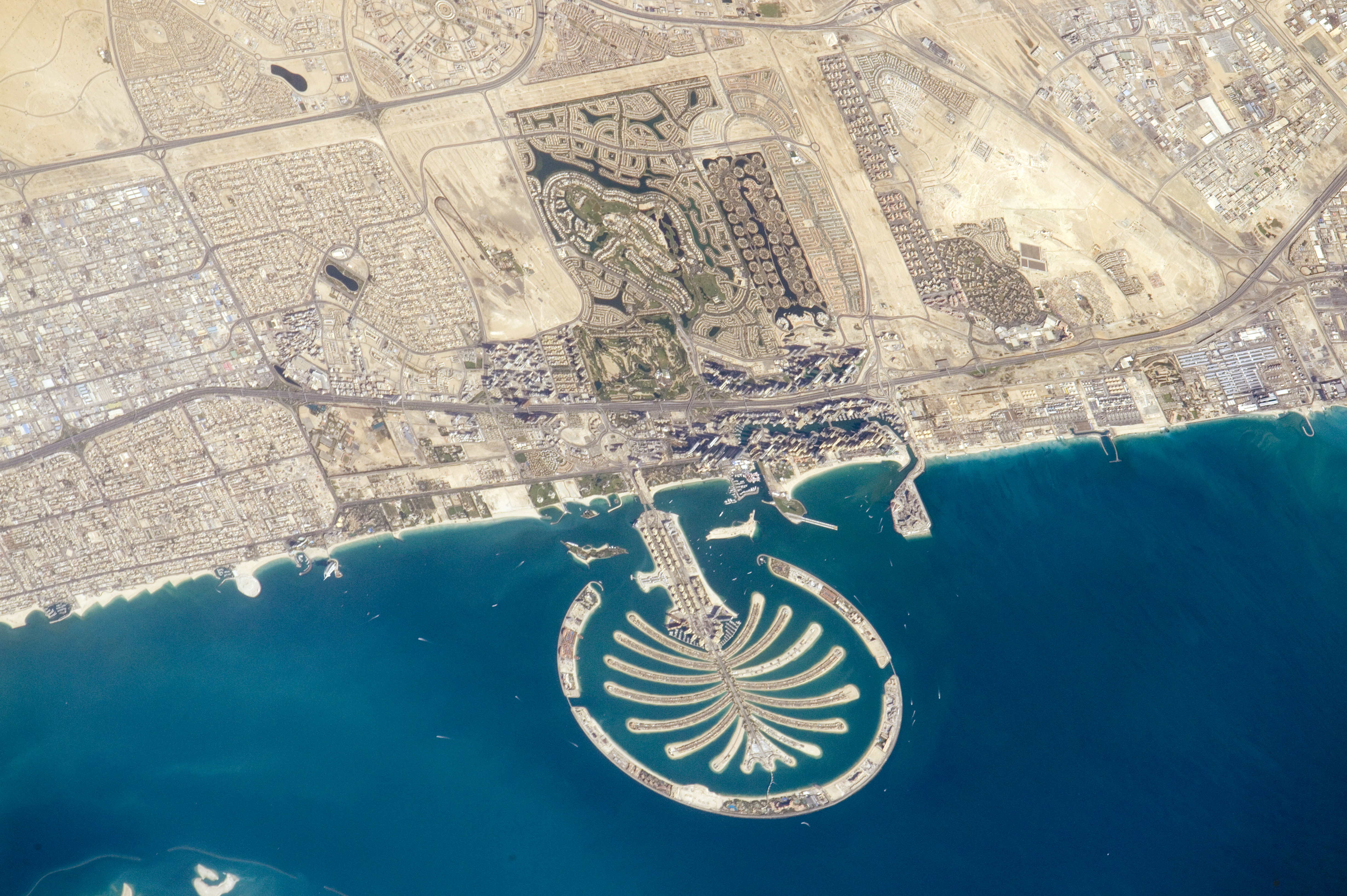 File:ISS-47 Palm Jumeirah, Dubai.jpg - Wikimedia Commons