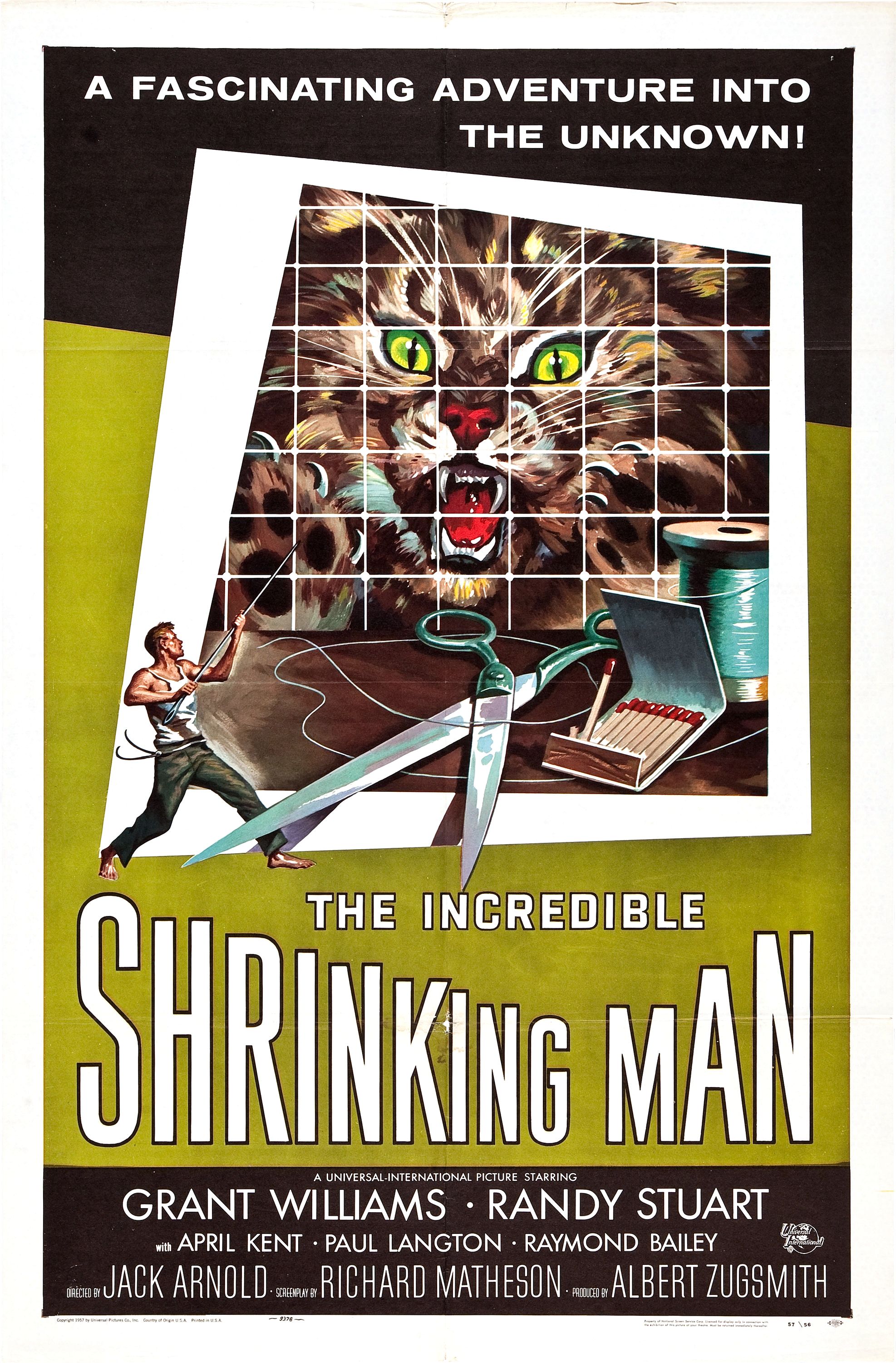 Las ultimas peliculas que has visto - Página 38 IncredibleShrinkingMan-poster