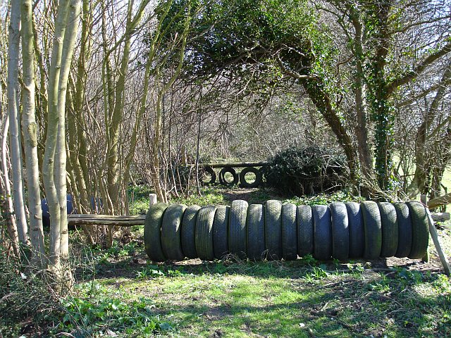 File:Jumps in Frid Wood - geograph.org.uk - 365602.jpg