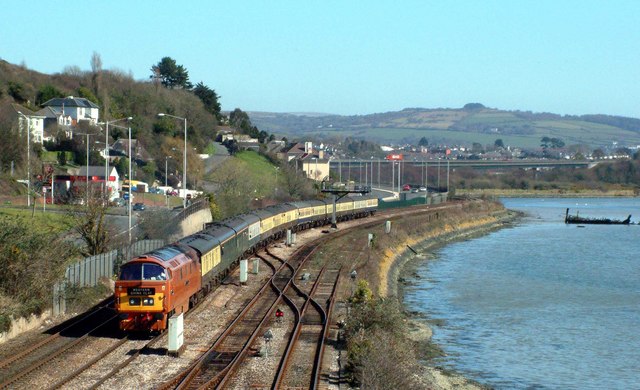 File:Laira by the river Plym - geograph.org.uk - 847453.jpg