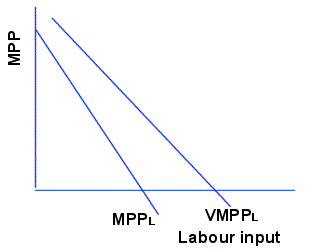The Marginal Physical Product of Labour