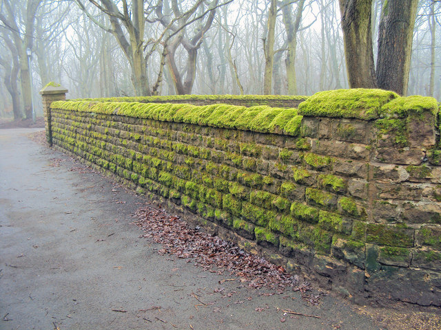 File:Moss covered wall near Annesley church - geograph.org.uk - 1705120.jpg