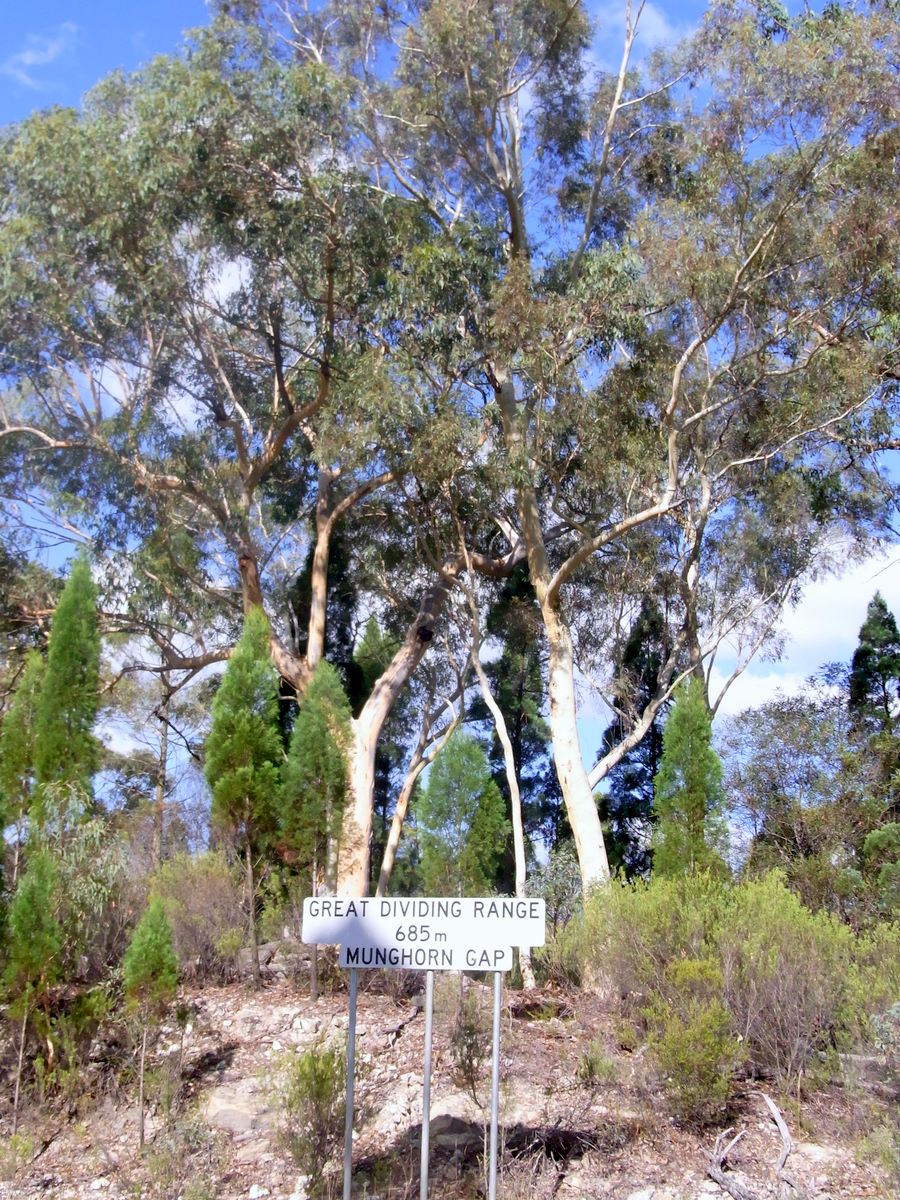 Munghorn Gap Nature Reserve