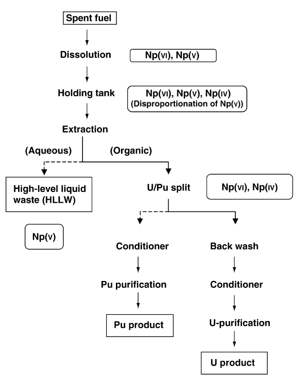 Flowchart, showing the Purex process and the likely oxidation state of neptunium in the process solution.[72]
