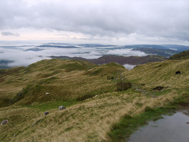 On Heron Pike - geograph.org.uk - 1008141