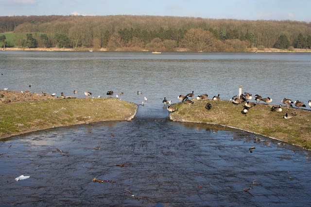 Outflow at Thornton Reservoir - geograph.org.uk - 331931