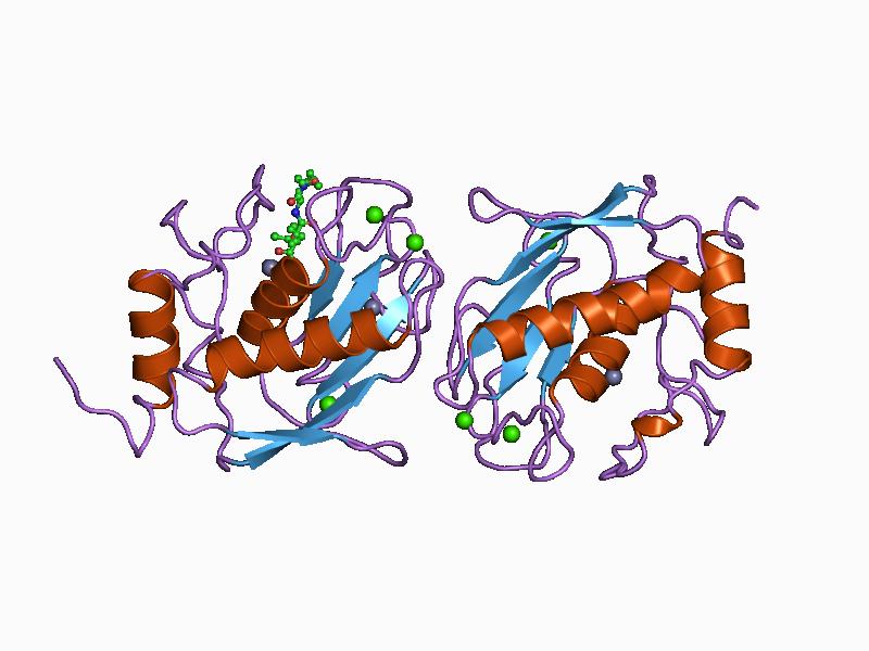 File:PDB 1biw EBI.jpg