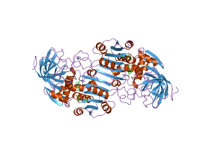 File:PDB 6adh EBI.jpg