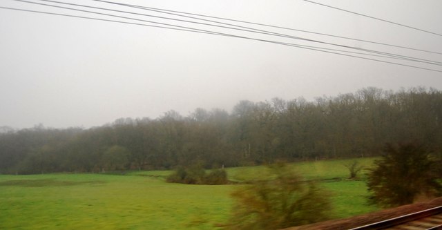 File:Peplin Wood - geograph.org.uk - 2387392.jpg