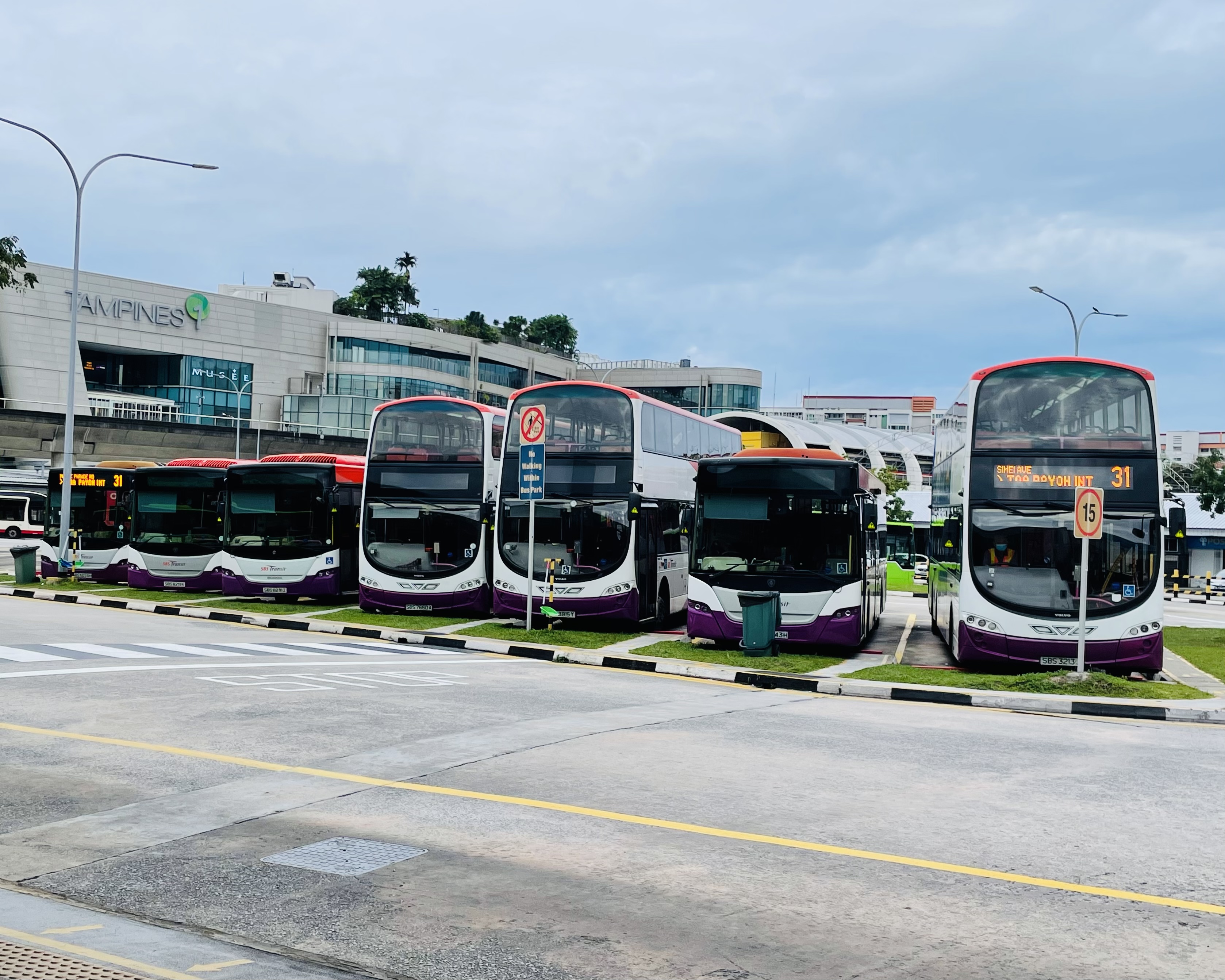 are dogs allowed on buses singapore