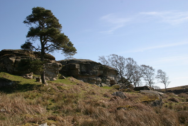 Shaftoe Crags - geograph.org.uk - 387833