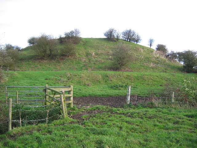 File:Skipsea Castle - geograph.org.uk - 79788.jpg