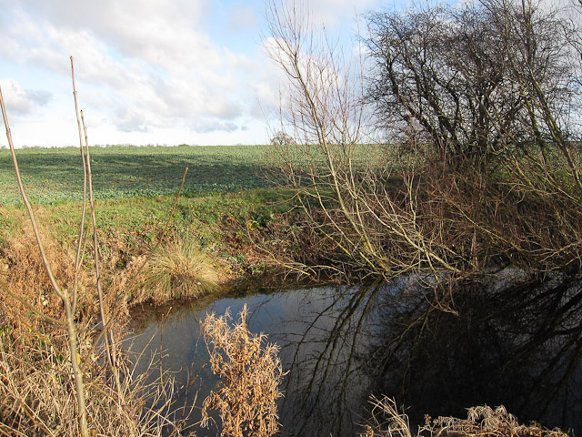 File:Small pond - geograph.org.uk - 1637252.jpg