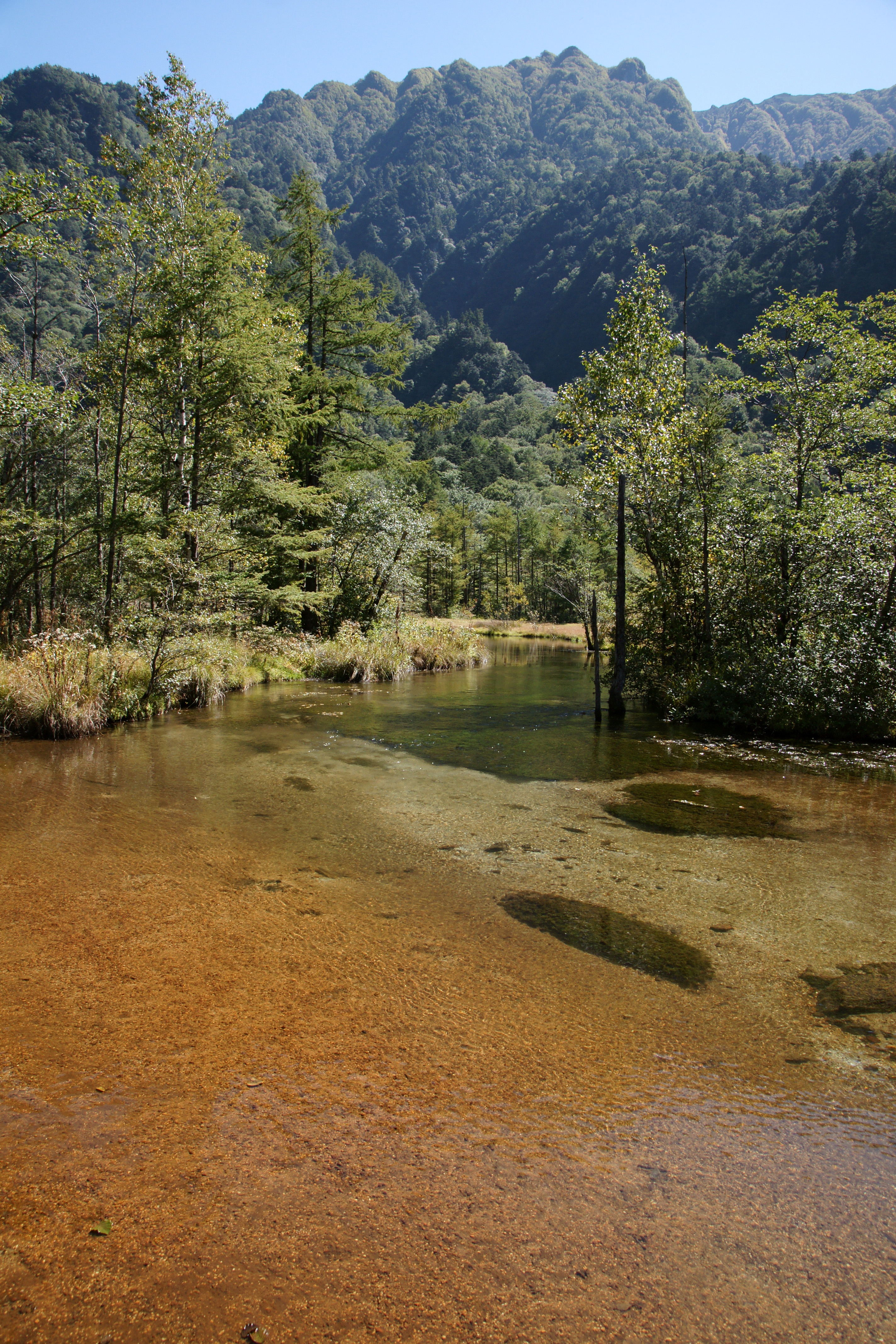 田代池 Wikipedia