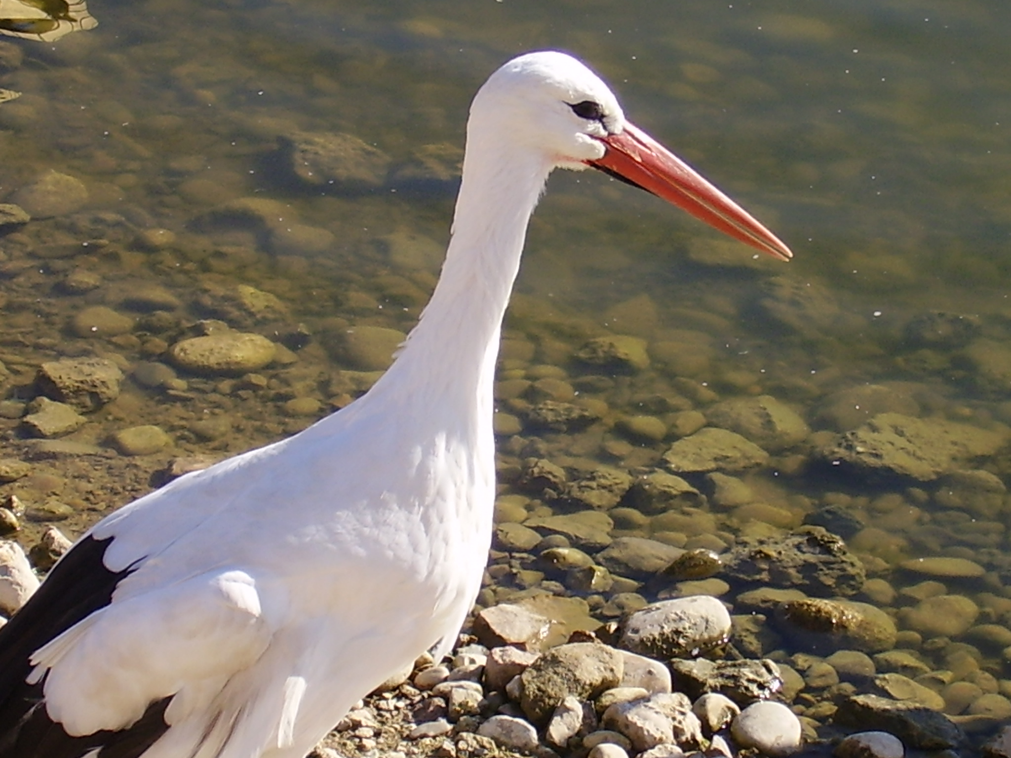 File:Terra natura murcia (2264986540).jpg - Wikimedia Commons