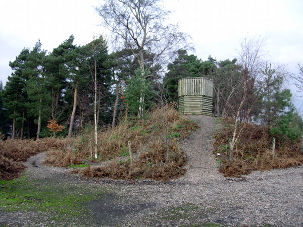 The Pulpit Perry Woods - geograph.org.uk - 39895