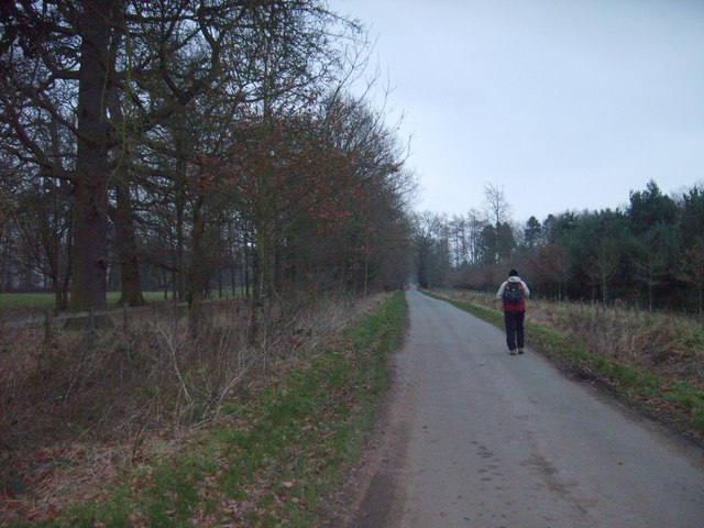 File:Upper Avenue Lane - geograph.org.uk - 649185.jpg