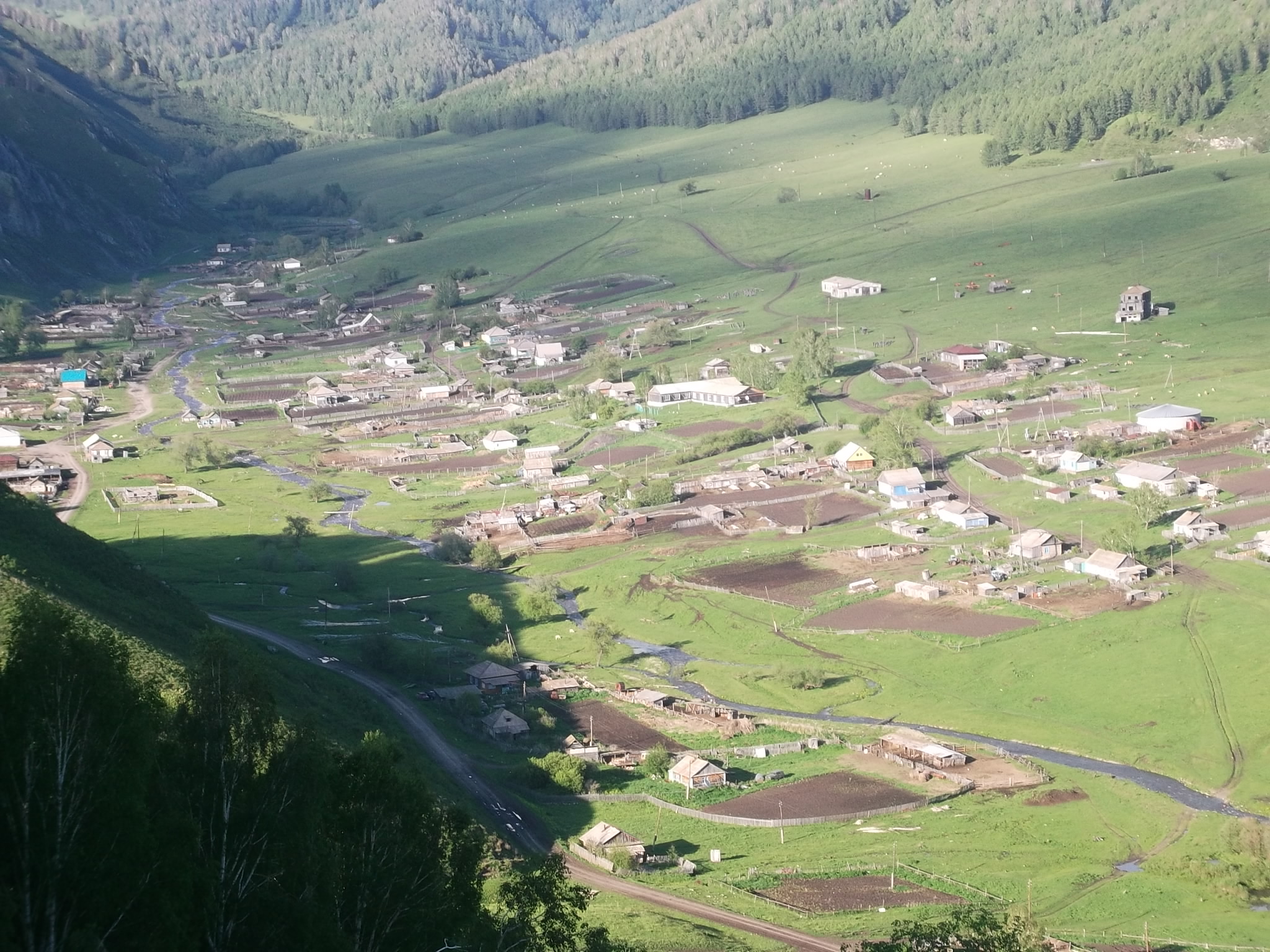 село алтайское алтайский край фото