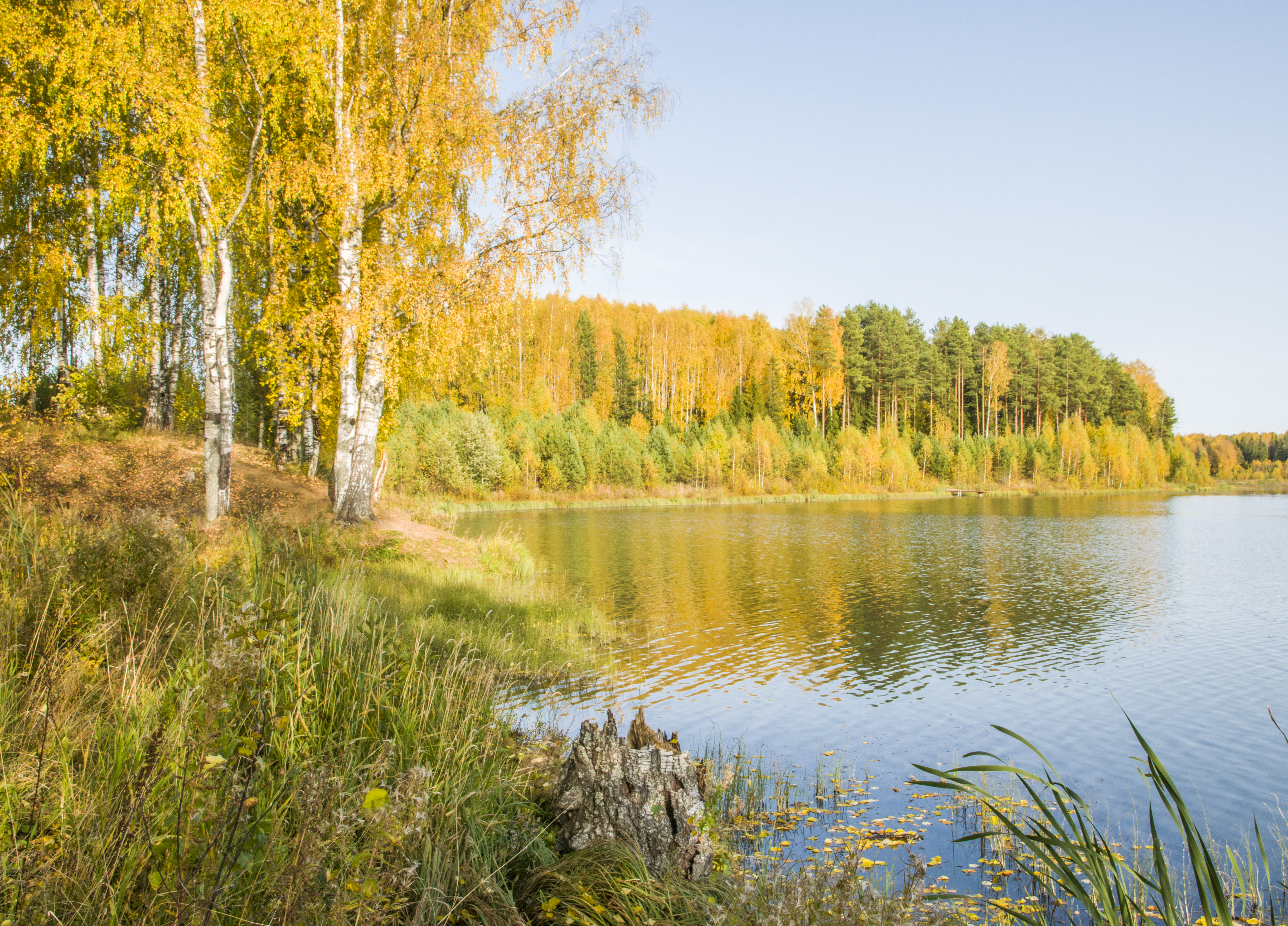 Осень в Рябово