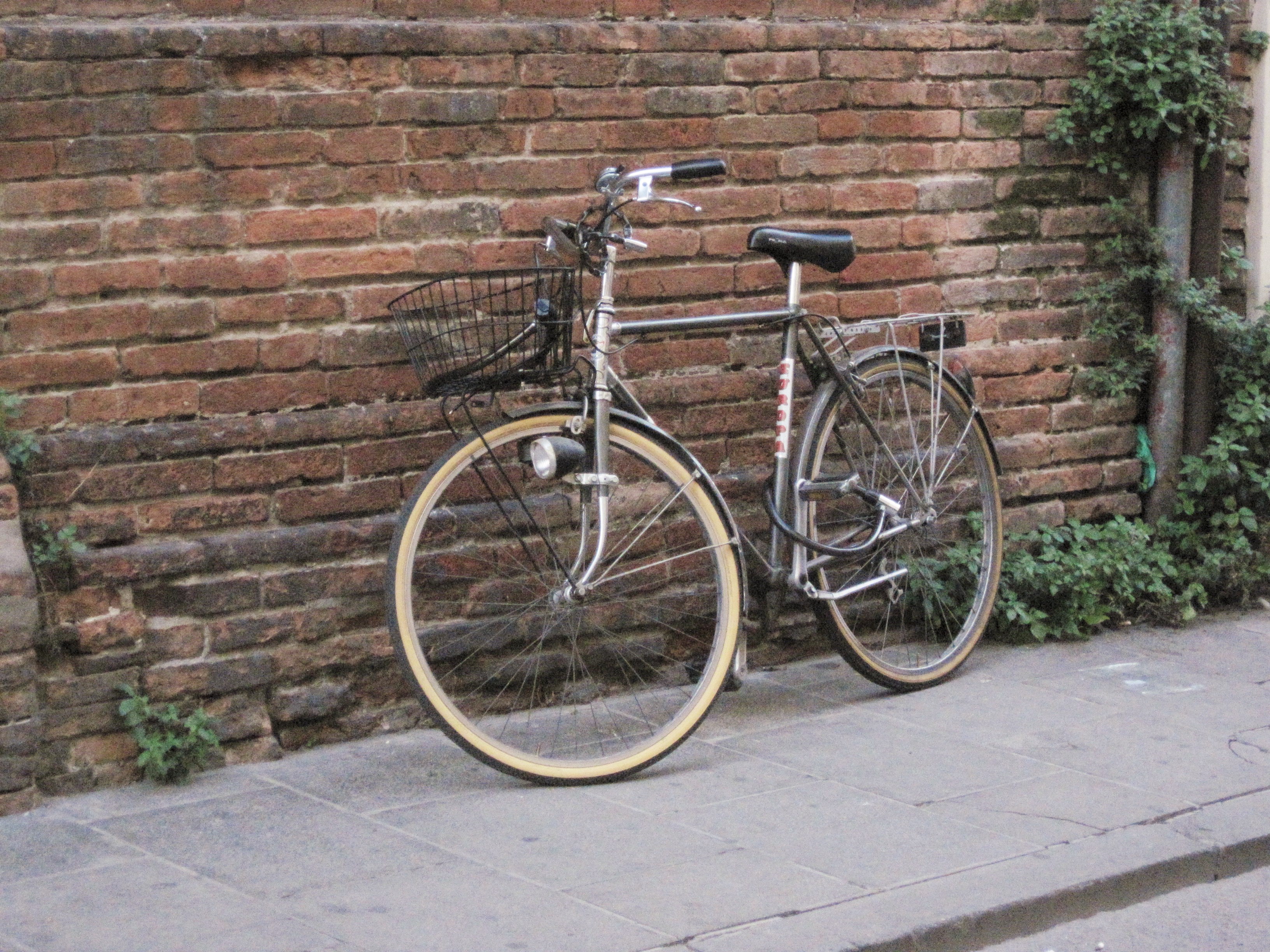 File:0 Ferrara città delle biciclette 01.jpg - Wikipedia