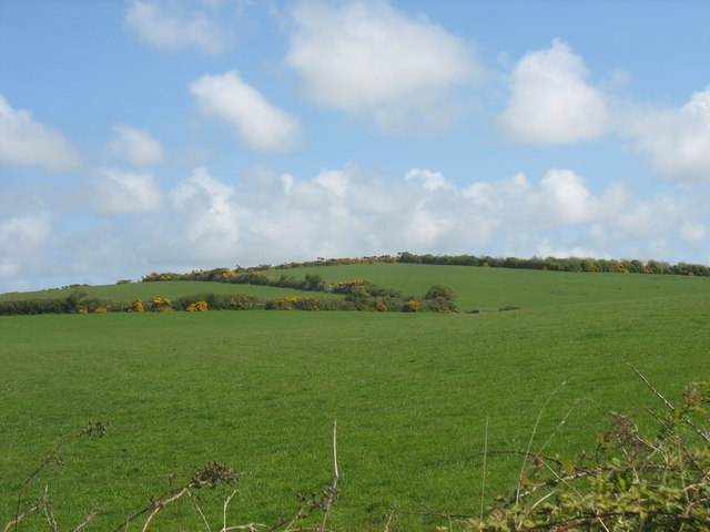 File:A drumlin south of the Alaw Estuary - geograph.org.uk - 1285190.jpg