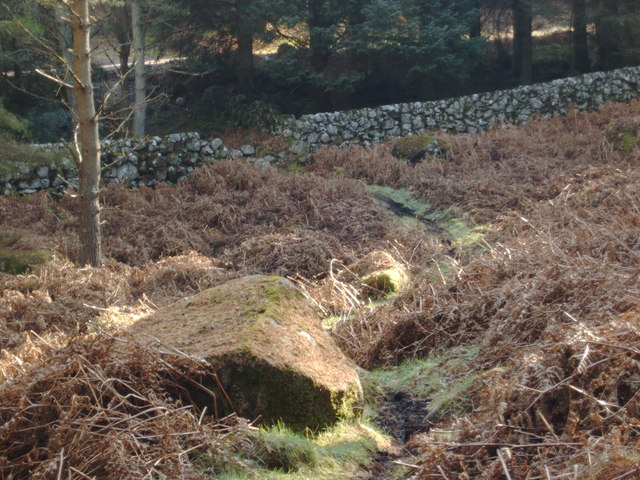 File:Bike and foot trail through a wall, Troston Forest - geograph.org.uk - 691393.jpg