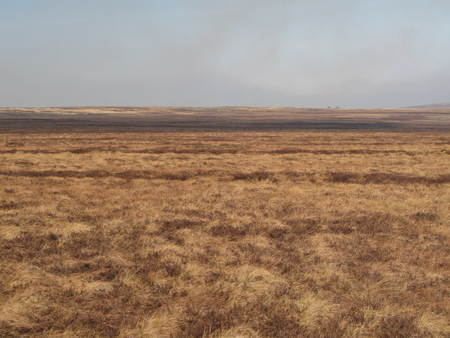 File:Byerhope Moss (2f) - geograph.org.uk - 1245049.jpg