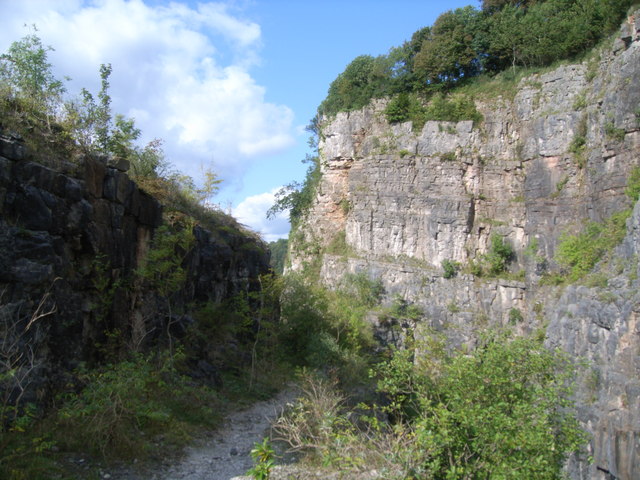 Cliffs on the banks of the River Wye - geograph.org.uk - 1163327
