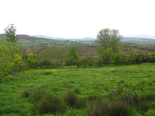 File:Dungorkin - geograph.org.uk - 435031.jpg