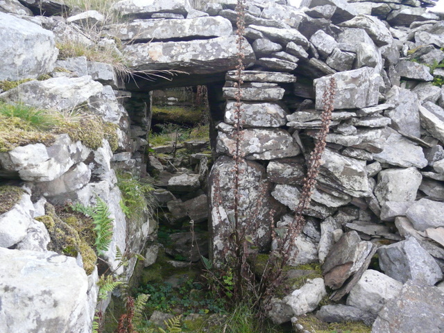 File:Entrance to "Long Cairn" at Yarrows. - geograph.org.uk - 1502693.jpg