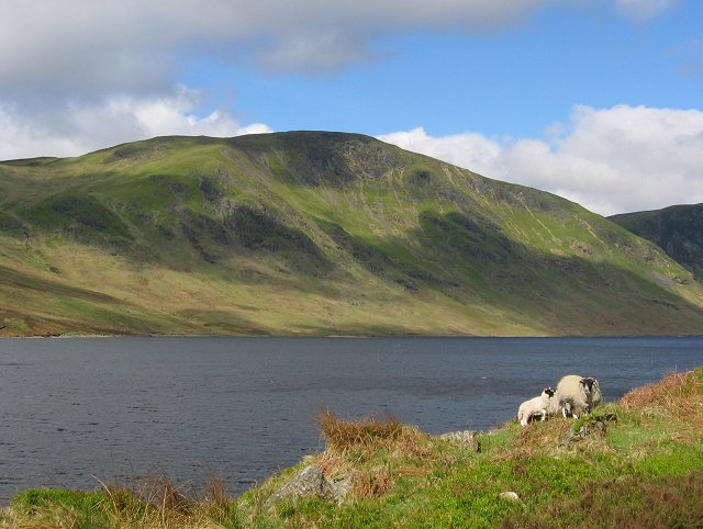 Ewe and lamb, Loch Turret. - geograph.org.uk - 13170