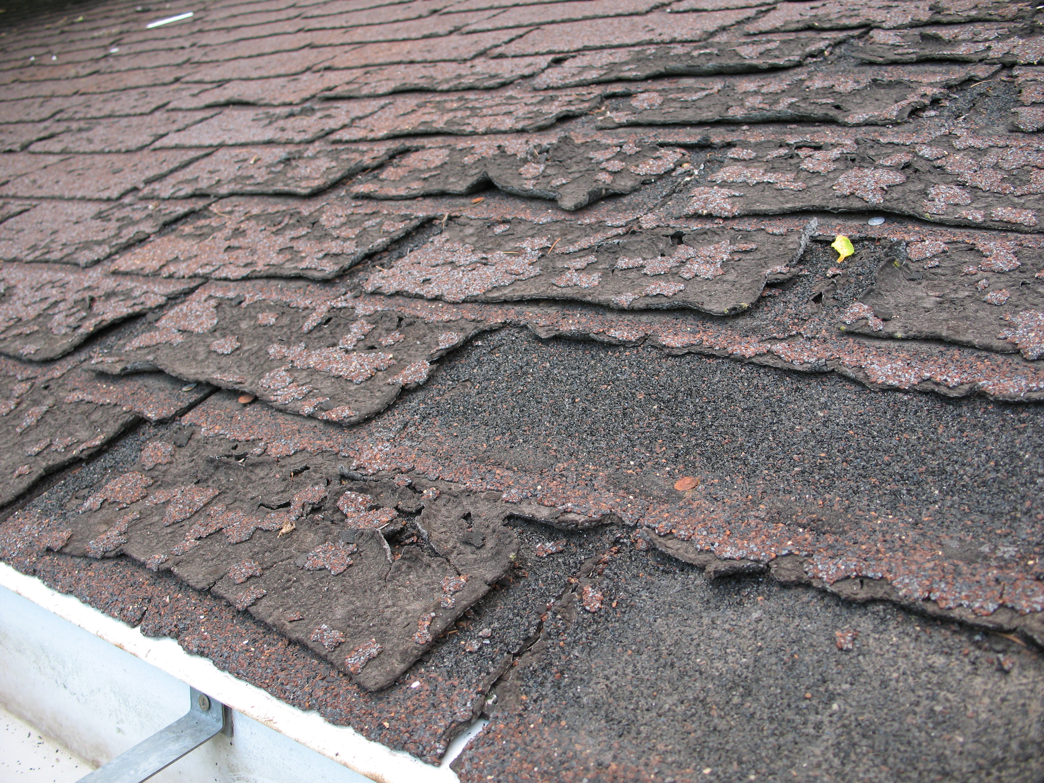 File Failure Of Asphalt Shingles Allowing Roof Leakage JPG Wikimedia Commons