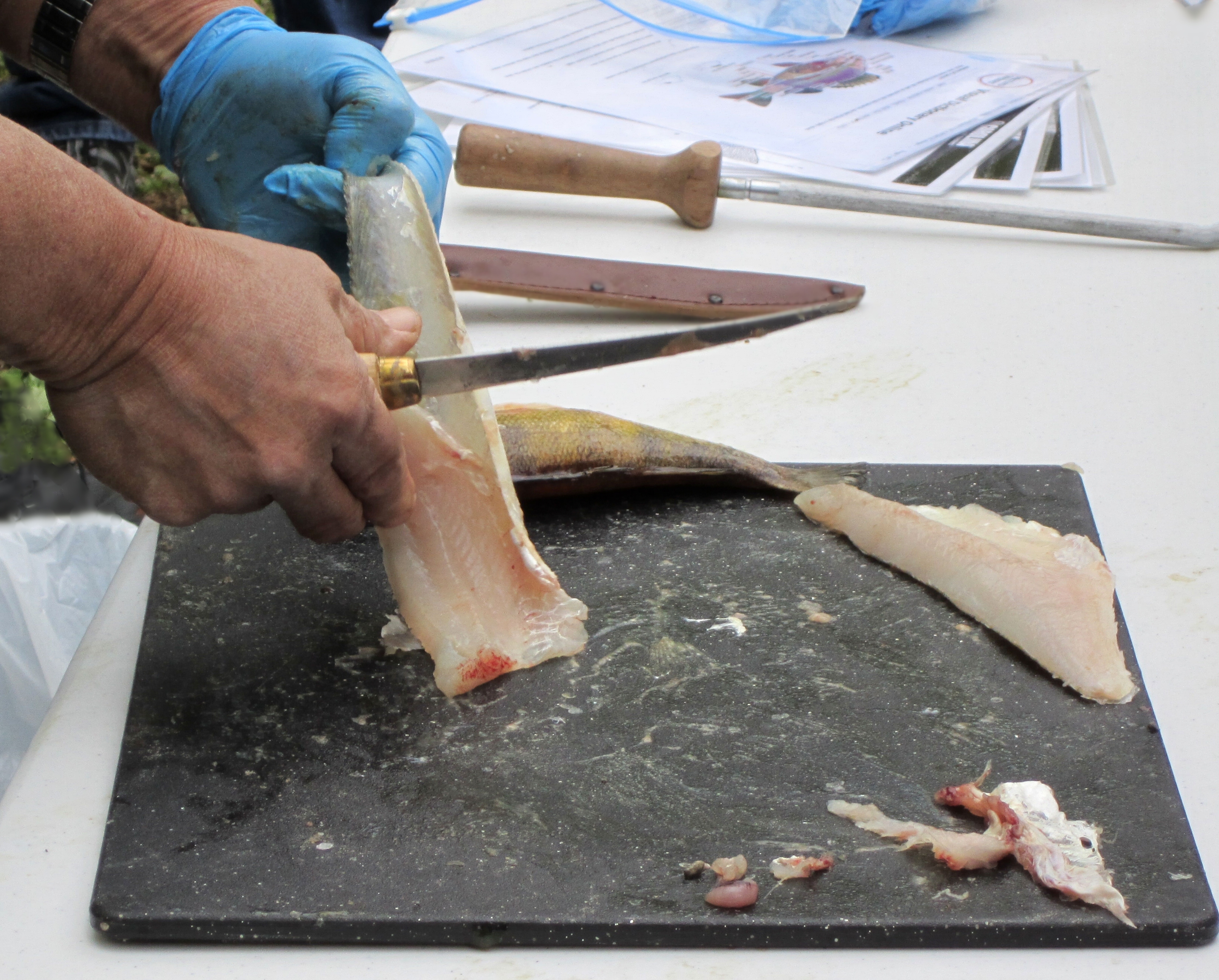 filleting knife