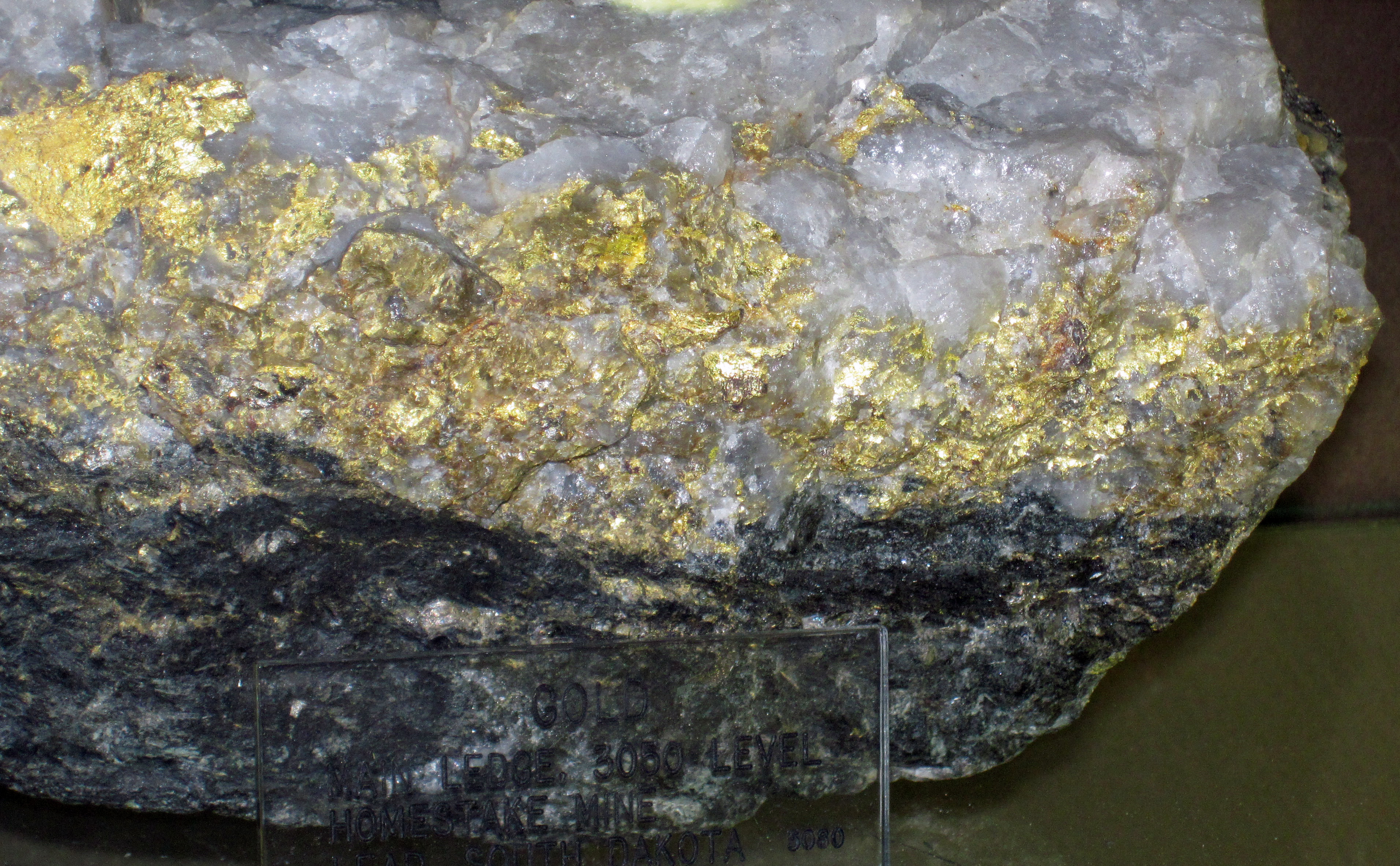 File:Gold and quartz (Main Ledge, 3050 Level, Homestake Mine, Lead, Black Hills, South Dakota, USA) 6 (17234258471).jpg - Wikimedia Commons