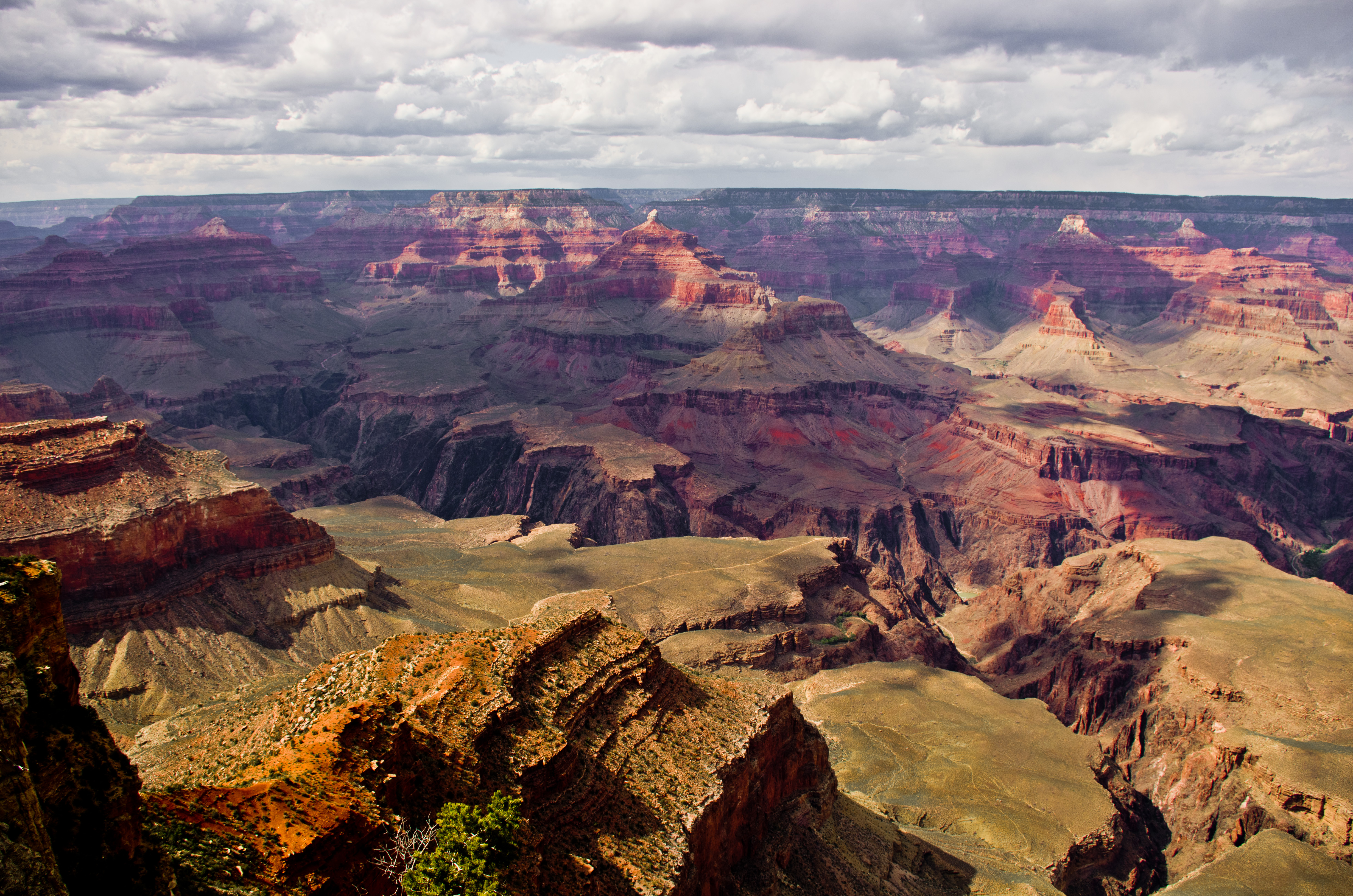 Grand canyon research questions