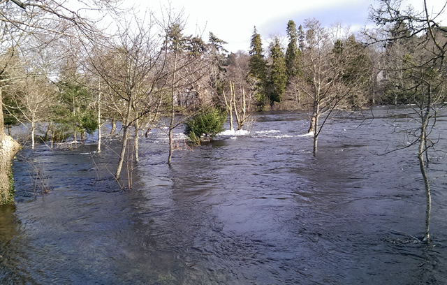 File:High water on the River Ness - geograph.org.uk - 4387951.jpg