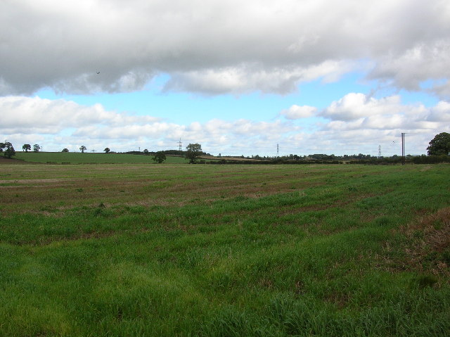 File:Kimberlow Hill - geograph.org.uk - 59055.jpg